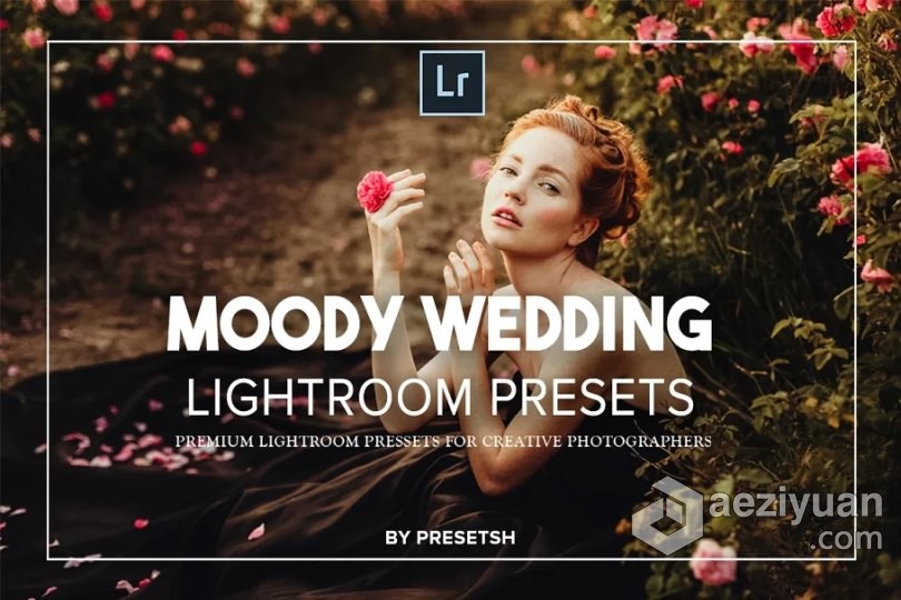 LR预设 情绪电影婚礼LR预设Moody Wedding Lightroom Presets预设,情绪,电影,婚礼,wedding - AE资源网 www.aeziyuan.com