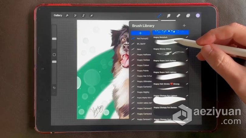 绘画教程 Procreate宠物逼真写实可爱肖像数字绘画视频教程绘画教程,宠物,逼真,写实,可爱 - AE资源网 www.aeziyuan.com