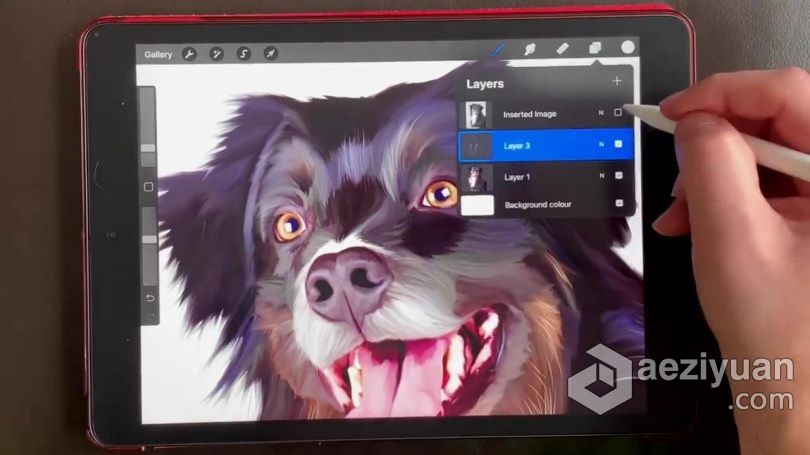 绘画教程 Procreate宠物逼真写实可爱肖像数字绘画视频教程绘画教程,宠物,逼真,写实,可爱 - AE资源网 www.aeziyuan.com