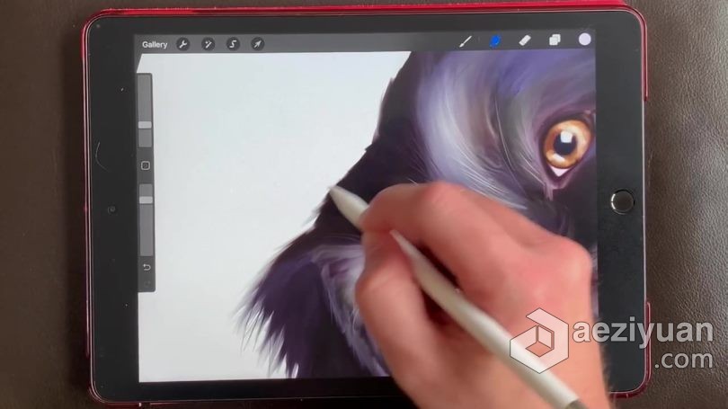 绘画教程 Procreate宠物逼真写实可爱肖像数字绘画视频教程绘画教程,宠物,逼真,写实,可爱 - AE资源网 www.aeziyuan.com