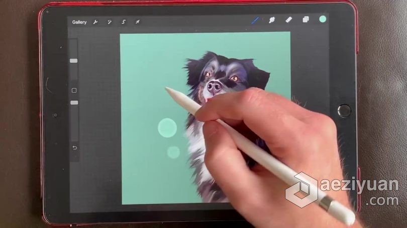 绘画教程 Procreate宠物逼真写实可爱肖像数字绘画视频教程绘画教程,宠物,逼真,写实,可爱 - AE资源网 www.aeziyuan.com