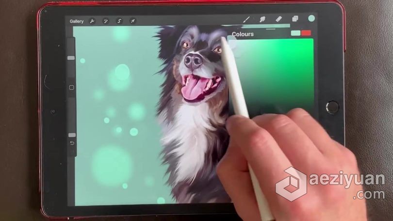 绘画教程 Procreate宠物逼真写实可爱肖像数字绘画视频教程绘画教程,宠物,逼真,写实,可爱 - AE资源网 www.aeziyuan.com