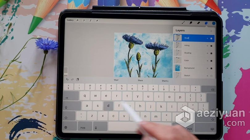 绘画教程 Procreate绘制可爱矢车菊素描涂鸦插画数字绘画视频教程 - AE资源网 www.aeziyuan.com