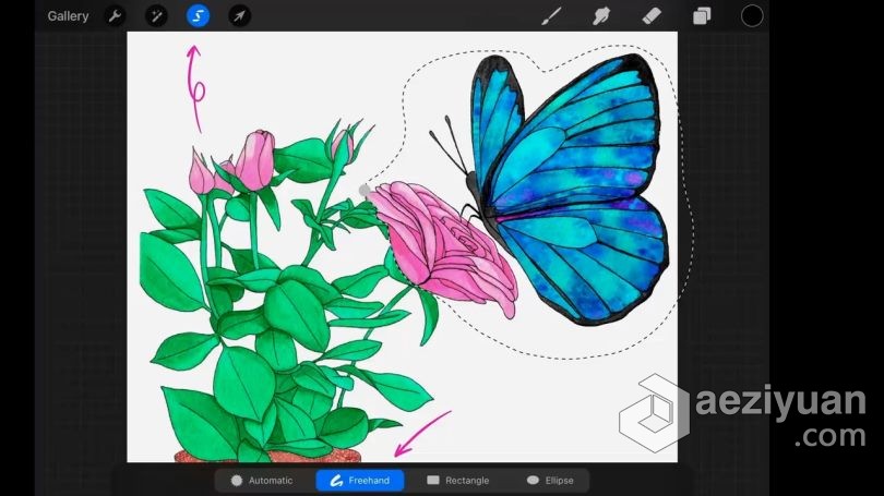 绘画教程 procreate在社交媒体创建水彩画动画插图数字绘画视频教程 - AE资源网 www.aeziyuan.com
