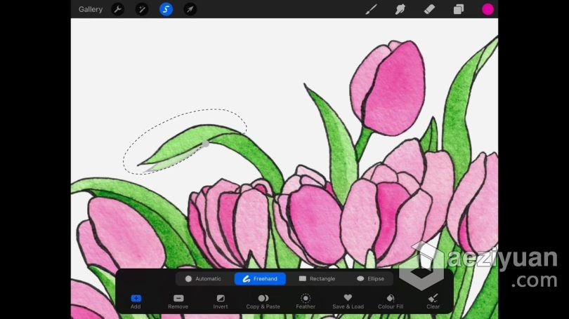 绘画教程 procreate在社交媒体创建水彩画动画插图数字绘画视频教程 - AE资源网 www.aeziyuan.com