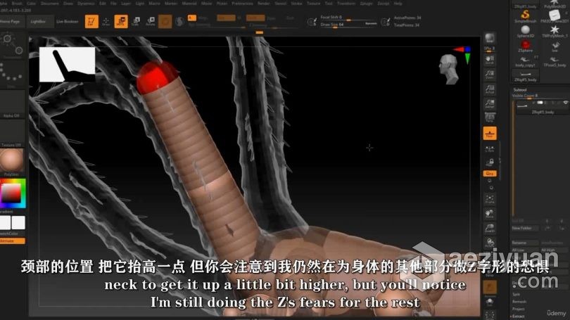 Zbrush教程 Zbrush九头蛇游戏资产模型雕刻全流程视频教程中文字幕教程,zbrush,九头蛇,游戏,资产 - AE资源网 www.aeziyuan.com