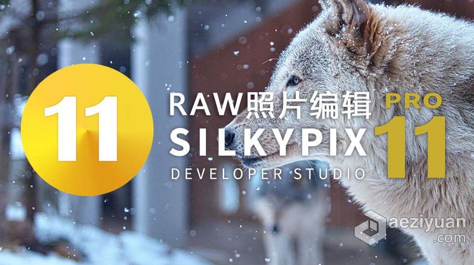 RAW照片编辑软件 SILKYPIX Developer Studio Pro 11.0.2.0 WIN版 中文汉化版下载照片编辑软件,developer,studio,中文,汉化 - AE资源网 www.aeziyuan.com