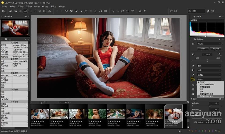 RAW照片编辑软件 SILKYPIX Developer Studio Pro 11.0.2.0 WIN版 中文汉化版下载照片编辑软件,developer,studio,中文,汉化 - AE资源网 www.aeziyuan.com