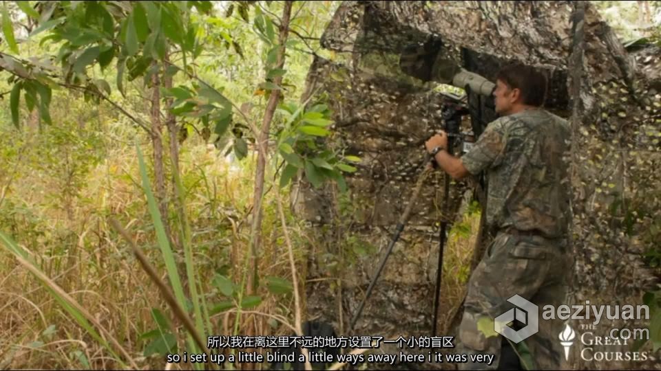 国家地理风光摄影与野生动物摄影完整指南 中英字幕国家地理,地理,野生动物,野生动物摄影,动物摄影 - AE资源网 www.aeziyuan.com