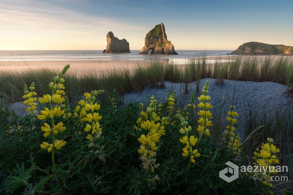 摄影师 William Patino -拍摄难以置信的海景风光及后期教程 中英字幕William Patino,风光摄影教程,曝光混合教程,风光构图教程,焦点堆叠教程 - AE资源网 www.aeziyuan.com