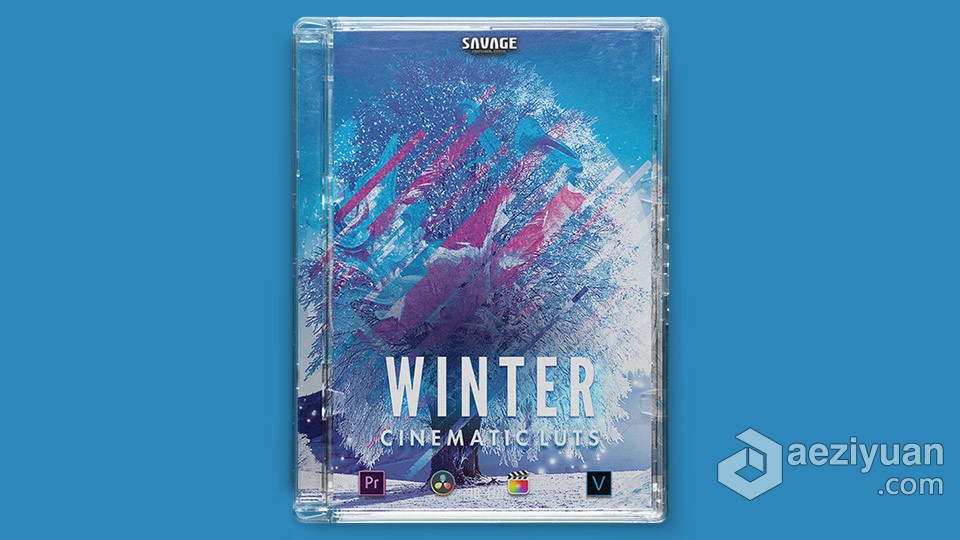 冬季户外场景LUT调色预设 WINTER LUTS PACK冬季,户外,场景,调色,预设 - AE资源网 www.aeziyuan.com