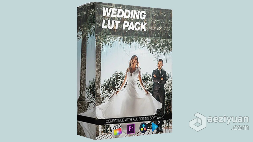 15个实用婚礼视频场景LUT调色预设包 Wedding LUT Pack - Final Cut Pro / Adobe Premiere Pro实用,婚礼视频,场景,调色,预设 - AE资源网 www.aeziyuan.com