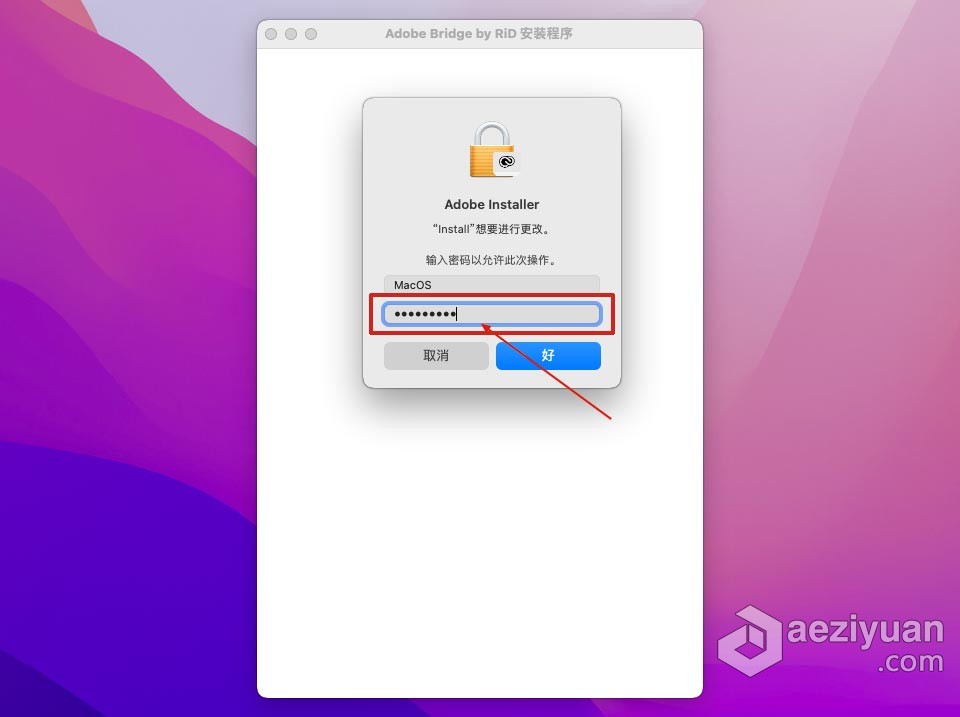 Br 2022苹果版 Bridge 2022 v12.0.2 for Mac 中文激活版 intel/M1通用苹果,bridge,2022,中文,激活 - AE资源网 www.aeziyuan.com