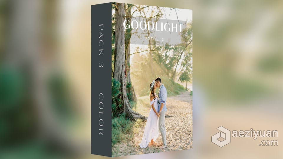 科迪和奥斯汀婚礼人像清新通透胶片风格LR预设 Goodlight Presets pack 3 Color科迪,奥斯汀,清新,胶片,风格 - AE资源网 www.aeziyuan.com