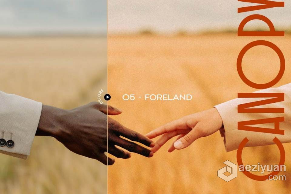 朴淳朴大地色系人像后期Lightroom预设 Canopy - Earthy Lightroom Presets淳朴,大地色系,人像,后期,lightroom - AE资源网 www.aeziyuan.com