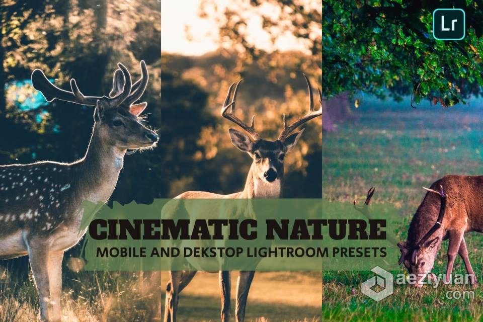 高品质电影自然风光Lightroom预设 Cinematic Nature Lightroom Presets Dekstop Mobile电影,lightroom,预设,nature - AE资源网 www.aeziyuan.com