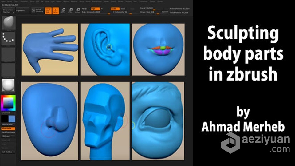 Zbrush人物脸部五官雕刻实例制作视频教程 中文字幕人物,脸部,五官,雕刻,实例 - AE资源网 www.aeziyuan.com