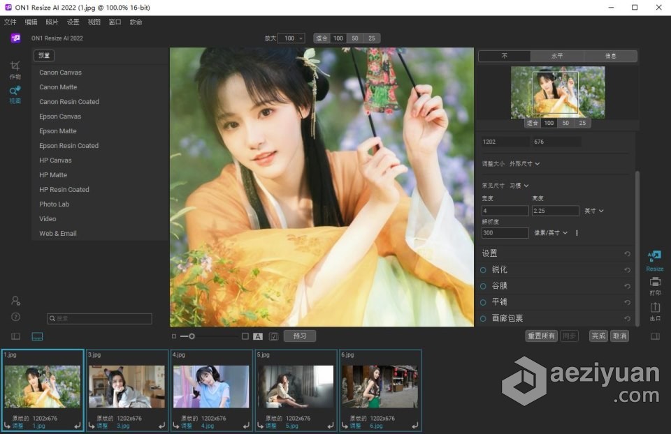 图片无损放大打印软件 ON1 Resize AI 2022.5 v16.5.1.12526 中文版 WIN系统下载图片,无损,放大,打印,软件 - AE资源网 www.aeziyuan.com