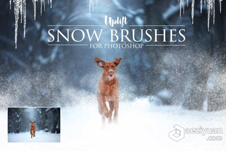 【PS笔刷】25款冬天下雪雪花雪景冰柱PS笔刷 25 Snow Brushes for PhotoshopPS笔刷,Photoshop笔刷,Brushes,Photoshop Brushes,PS Brushes - AE资源网 www.aeziyuan.com