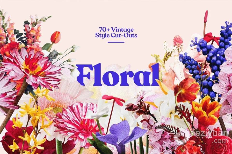 71张复古半色调颗粒风格花草植物PNG剪贴素材 Studio 2am – Floral：70+ Vintage Floral Cut-Outs复古,半色调,颗粒,风格,剪贴 - AE资源网 www.aeziyuan.com