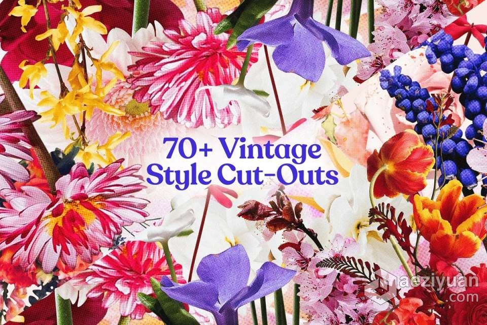 71张复古半色调颗粒风格花草植物PNG剪贴素材 Studio 2am – Floral：70+ Vintage Floral Cut-Outs复古,半色调,颗粒,风格,剪贴 - AE资源网 www.aeziyuan.com