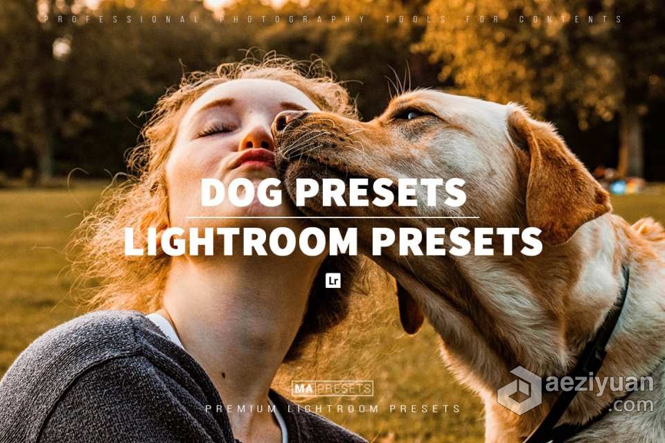 宠物狗摄影后期调色LR预设 10 DOG – Mobile &amp; Desktop Lightroom Presets宠物狗,摄影后期,后期调色,预设,mobile - AE资源网 www.aeziyuan.com