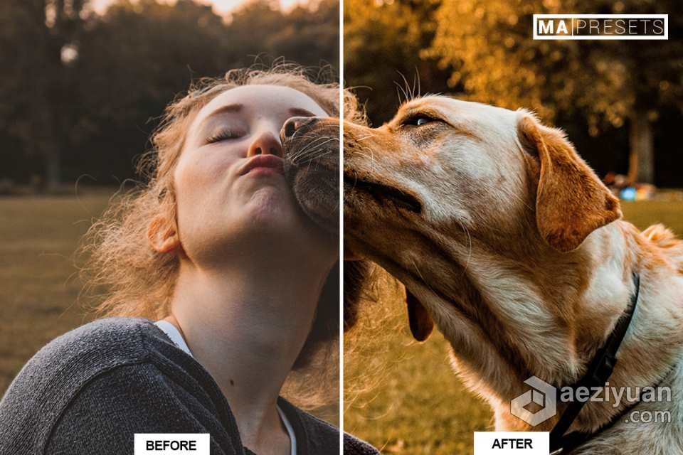 宠物狗摄影后期调色LR预设 10 DOG – Mobile &amp; Desktop Lightroom Presets宠物狗,摄影后期,后期调色,预设,mobile - AE资源网 www.aeziyuan.com