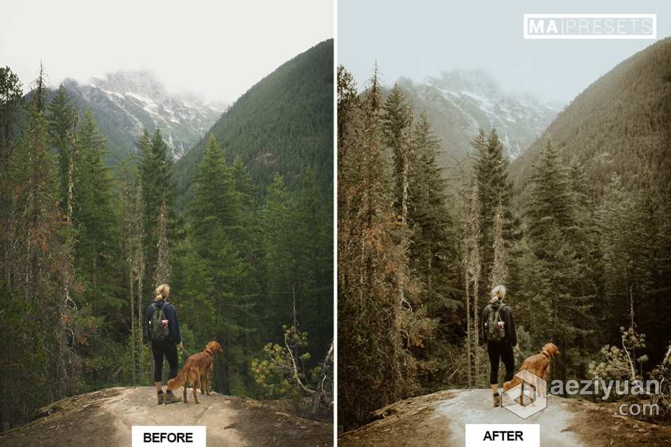 宠物狗摄影后期调色LR预设 10 DOG – Mobile &amp; Desktop Lightroom Presets宠物狗,摄影后期,后期调色,预设,mobile - AE资源网 www.aeziyuan.com