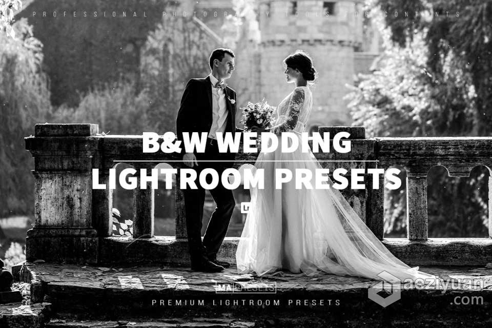 经典黑白婚礼人像lLightroom预设 Black White Wedding Lightroo Presets经典黑白,人像,预设,black,white - AE资源网 www.aeziyuan.com