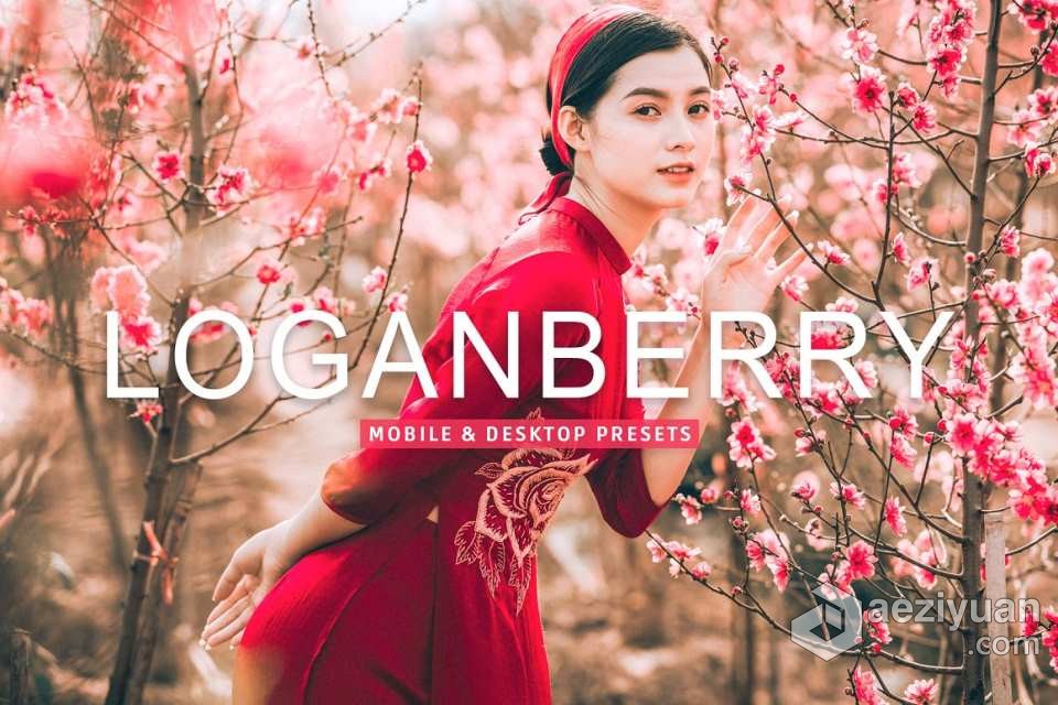 明亮电影胶片感人像调色Lightroom预设 Loganberry Lightroom Presets明亮,电影胶片,人像,调色,lightroom - AE资源网 www.aeziyuan.com