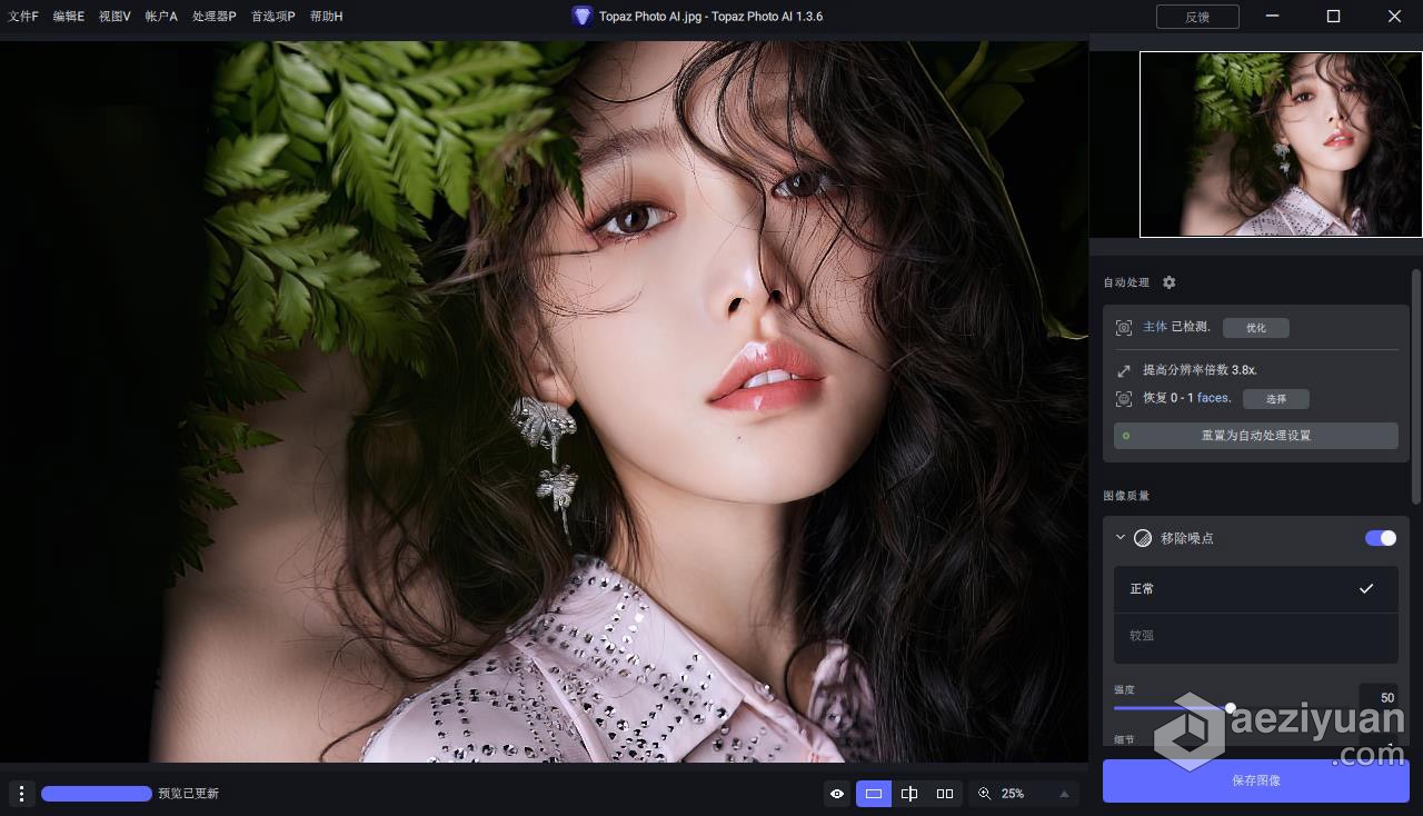 Topaz Photo AI v1.3.6 汉化版+AI模型 AI智能图像自动降噪锐化增强无损放大软件 WIN汉化中文版photo,汉化,模型,智能,图像 - AE资源网 www.aeziyuan.com