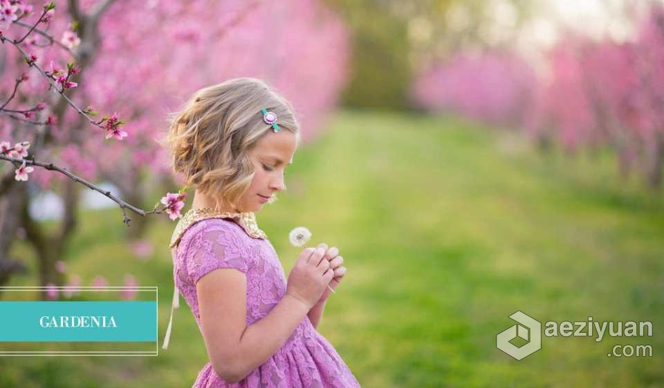 大师级 Pretty Presets 魔法花园人像lr预设Enchanted Garden Presets师级,人像,预设,enchanted,garden - AE资源网 www.aeziyuan.com