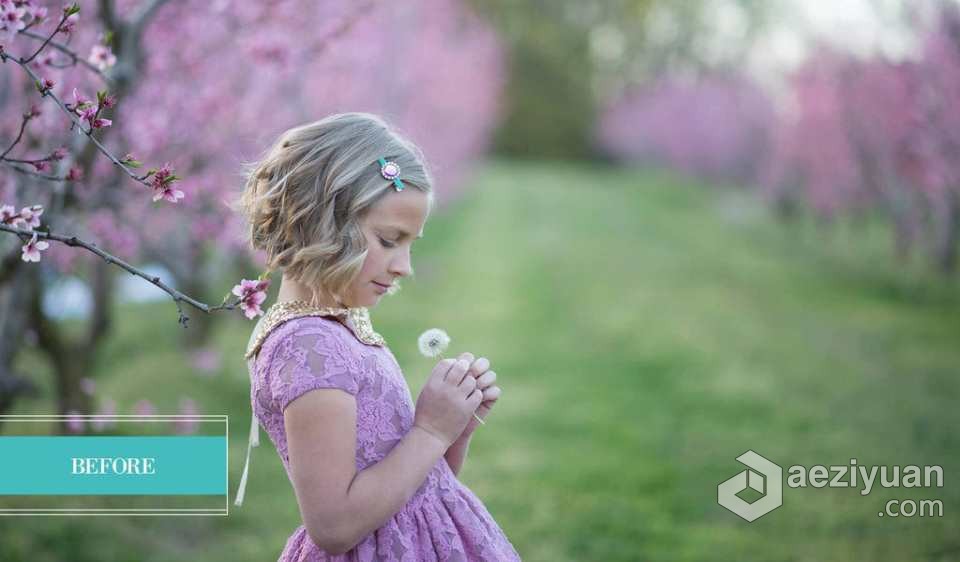 大师级 Pretty Presets 魔法花园人像lr预设Enchanted Garden Presets师级,人像,预设,enchanted,garden - AE资源网 www.aeziyuan.com