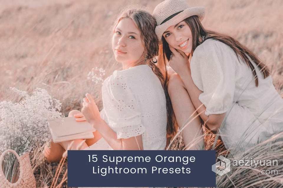 15个至尊橙色胶片人像Lightroom预设 15 Supreme Orange Lightroom Presets至尊,橙色,胶片,人像,lightroom - AE资源网 www.aeziyuan.com