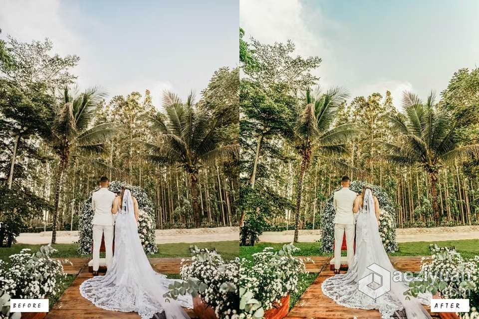 优雅婚礼胶片后期Lightroom预设 Elegant Wedding Lightroom Presets优雅,婚礼,胶片,后期,lightroom - AE资源网 www.aeziyuan.com