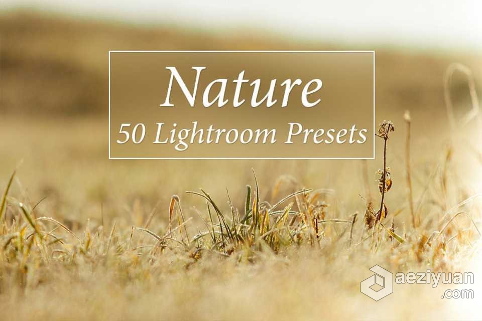 50组自然风光调色Lightroom预设 50 Nature Lightroom Presets自然风光,调色,lightroom,预设,nature - AE资源网 www.aeziyuan.com