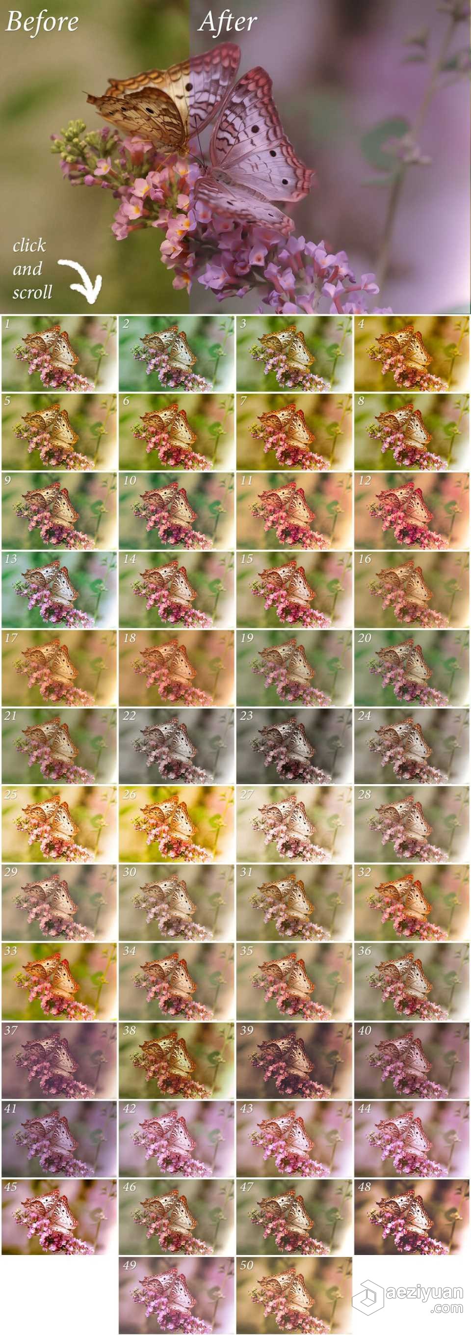 50组自然风光调色Lightroom预设 50 Nature Lightroom Presets自然风光,调色,lightroom,预设,nature - AE资源网 www.aeziyuan.com