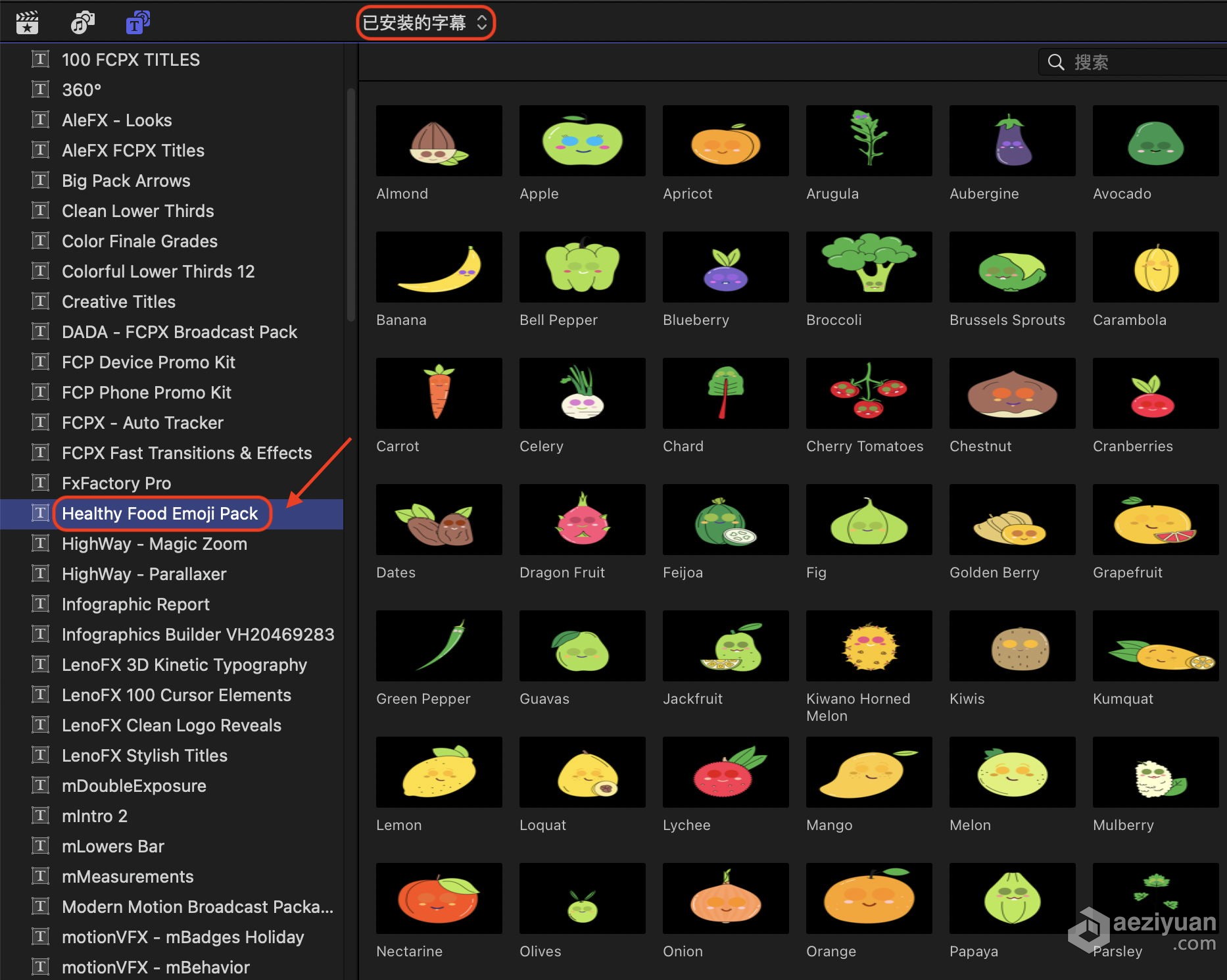 FCPX插件-66个卡通瓜果蔬菜水果美食表情动画 Healthy Food Emoji PackFCPX插件,卡通动画,水果蔬菜 - AE资源网 www.aeziyuan.com