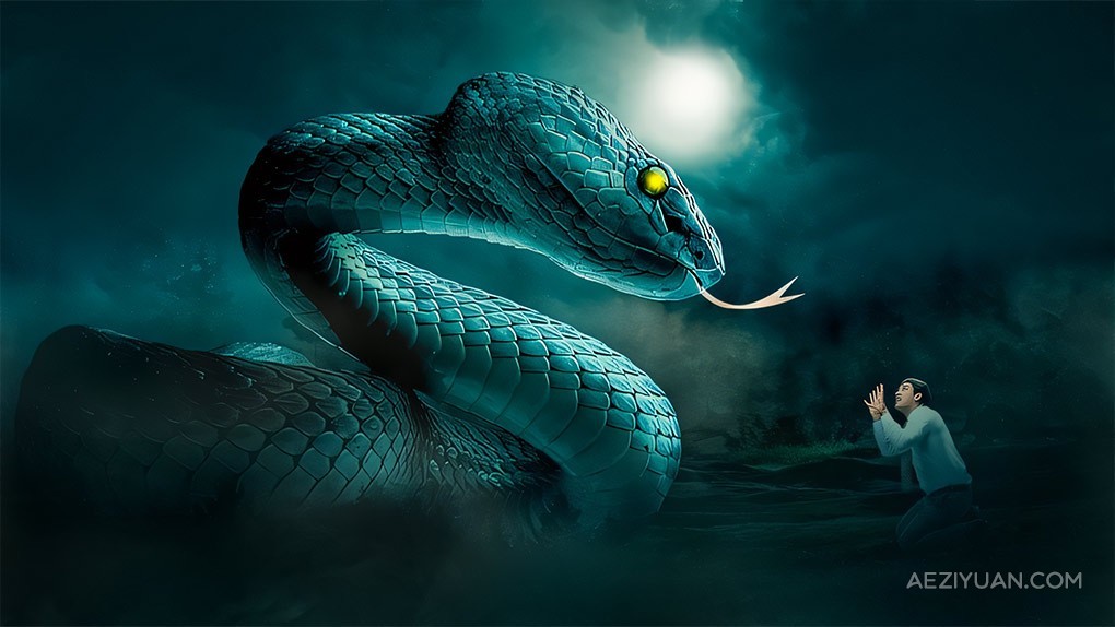 Photoshop毒蛇图像后期合成实例制作视频教程 Photoshop Advanced Manipulation Course - The Viper SnakePhotoshop,Photoshop教程,PS教程 - AE资源网 www.aeziyuan.com