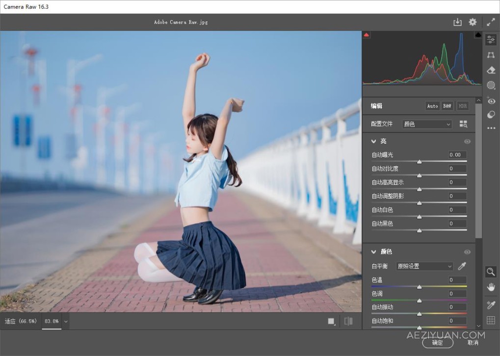 ACR滤镜 Adobe Camera Raw 16.3.0.1866 正式版  Win/Mac中文版下载Camera Raw,PS滤镜 - AE资源网 www.aeziyuan.com