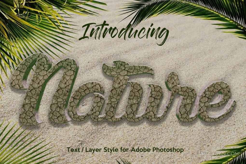 10种自然森林草地木纹砖墙铁锈泥土沙砾纹理PS图层样式 10 Natural Texture Text EffectPS样式,图层样式 - AE资源网 www.aeziyuan.com