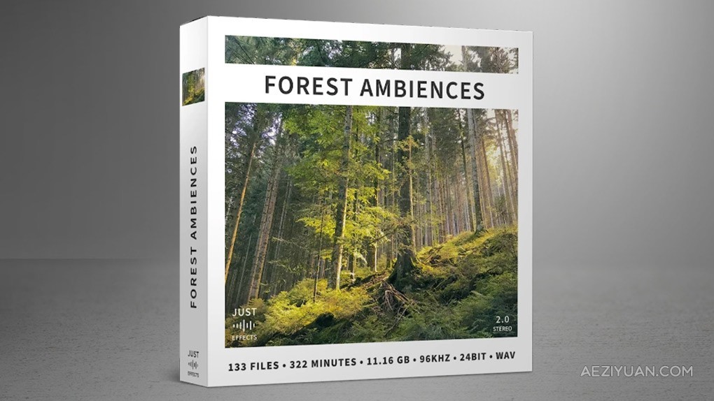 133个中欧森林自然四季宁静纯粹鸣禽树木背景氛围无损音效 Just Sound Effects – Forest Ambiences户外森林,自然音效,配乐音效 - AE资源网 www.aeziyuan.com