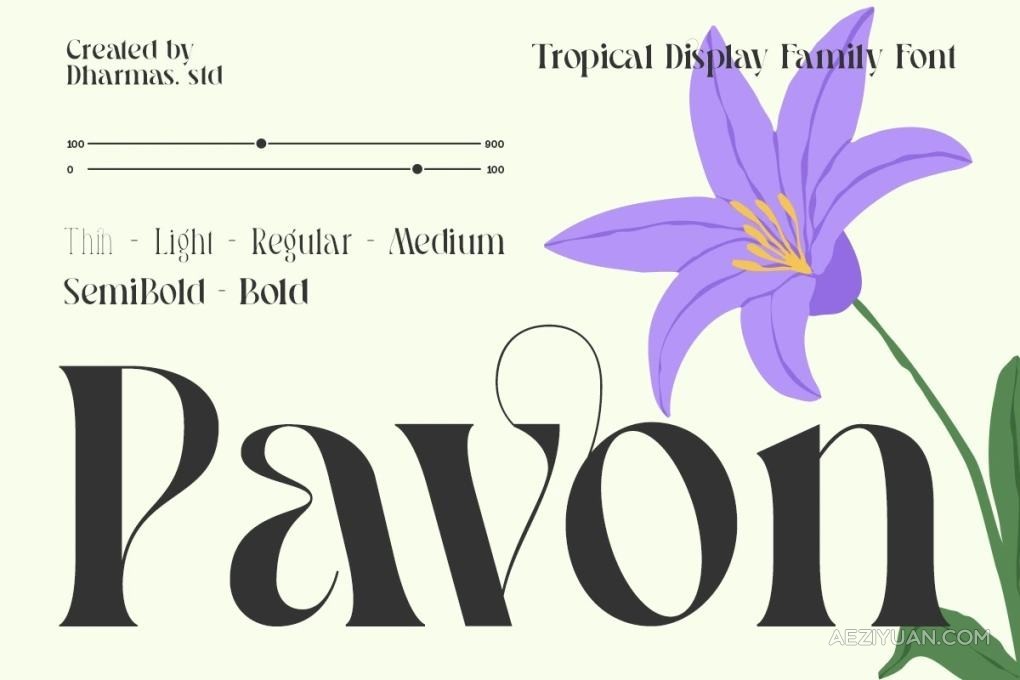 优雅浪漫精致艺术创意海报品牌标题LOGO设计英文衬线字体 Pavon – Tropical Display Family - AE资源网 www.aeziyuan.com