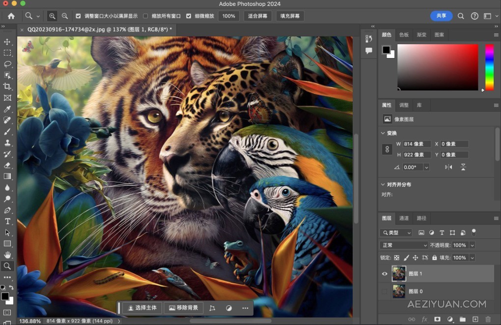 Adobe Photoshop 2024 v25.9.1（24年6月版）PS 2024正式版 Mac系统版本下载 支持intel/M1/M2/M3adobe,photoshop,2024,正式版,系统 - AE资源网 www.aeziyuan.com