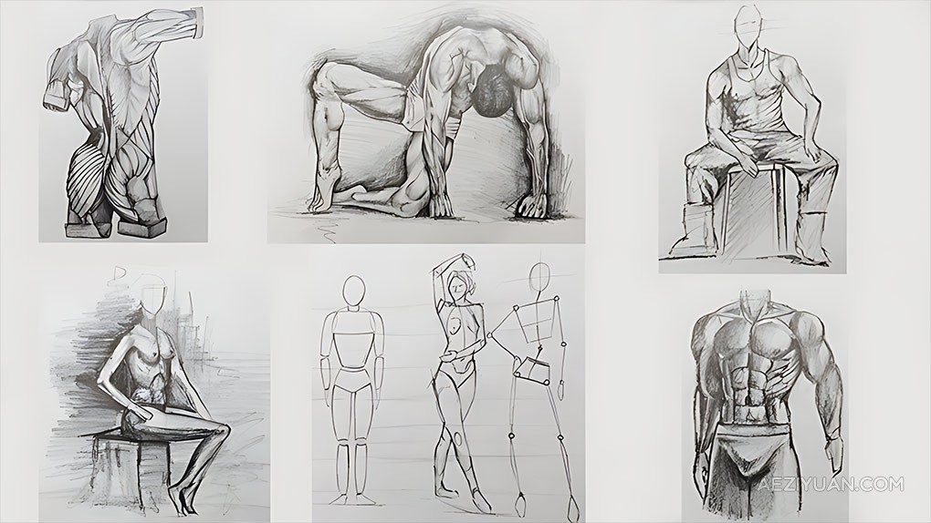 人体解剖学人物铅笔素描绘画技术训练视频教程 Figure Drawing Course From Beginner to Advanced人体解剖学,人物,铅笔,素描绘画,技术训练 - AE资源网 www.aeziyuan.com