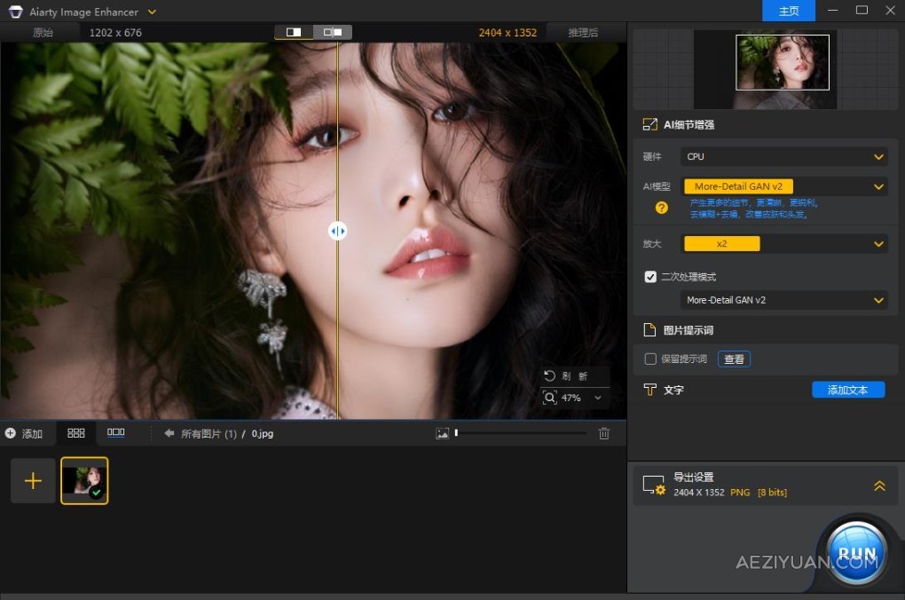 智能AI图像优化细节修复画质增强无损放大照片生成处理软件 Aiarty Image Enhancer v2.5 中文版智能,图像,优化,细节,修复 - AE资源网 www.aeziyuan.com