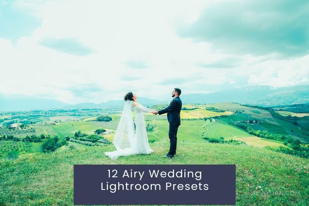 12种艺术婚礼Lightroom预设 Airy Wedding Lightroom Presets艺术,婚礼,lightroom,预设,wedding - AE资源网 www.aeziyuan.com