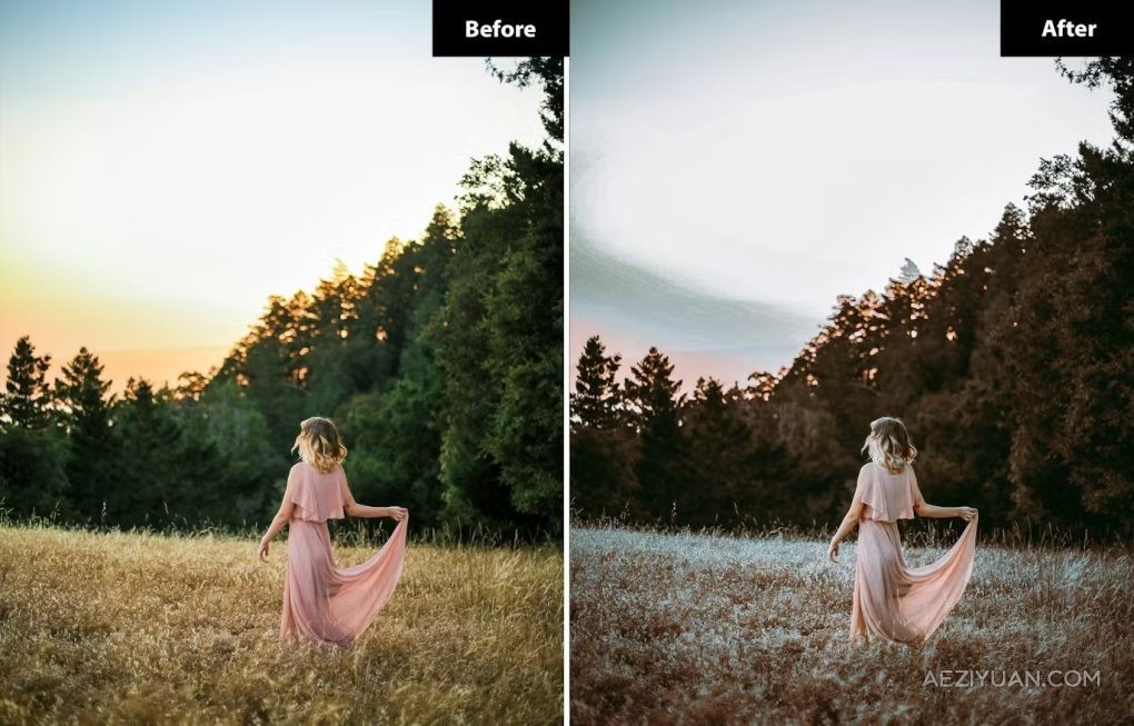 6种奇思妙想的婚礼lr预设 6 Ethereal Whimsy Wedding Lightroom Presets奇思妙想,婚礼,预设,ethereal,wedding - AE资源网 www.aeziyuan.com