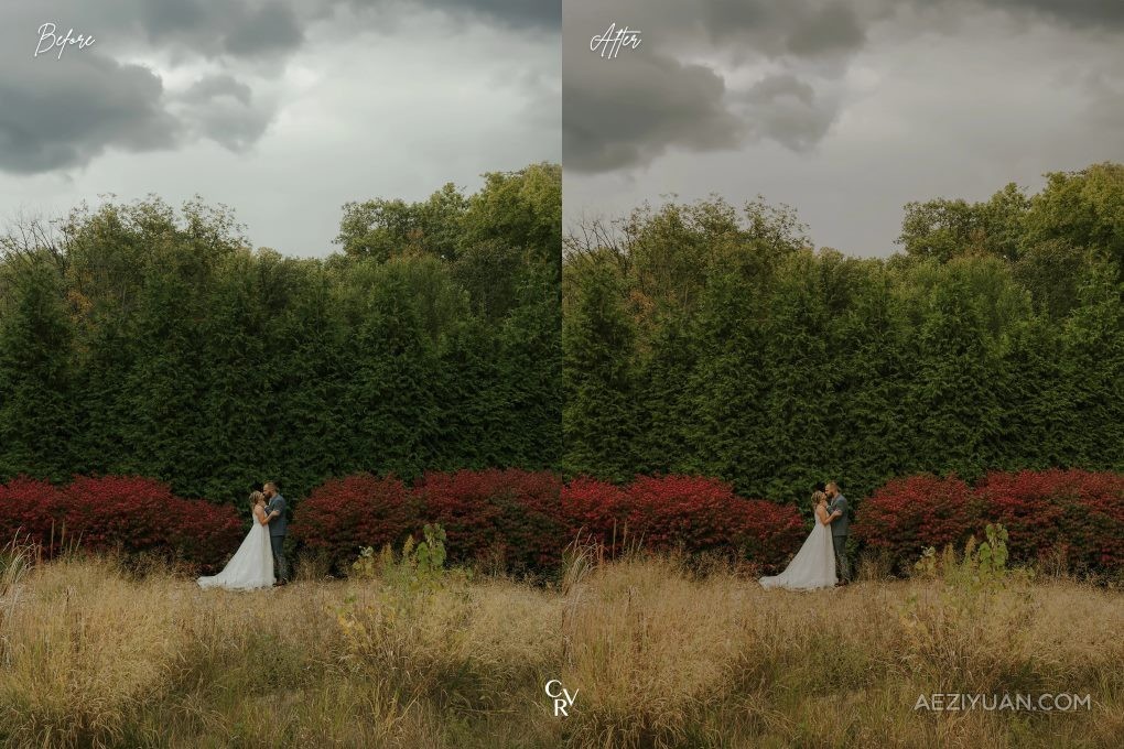 15种户外电影婚礼调色LR预设 15 Outdoor Wedding Lightroom Presets户外,电影,调色,预设,outdoor - AE资源网 www.aeziyuan.com