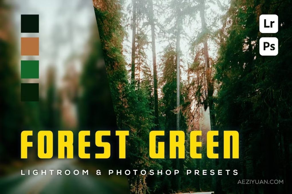 森林绿电影风光后期调色LR预设 6 Forest Green Lighroom and Photoshop Presets电影,风光,后期调色,预设,forest - AE资源网 www.aeziyuan.com